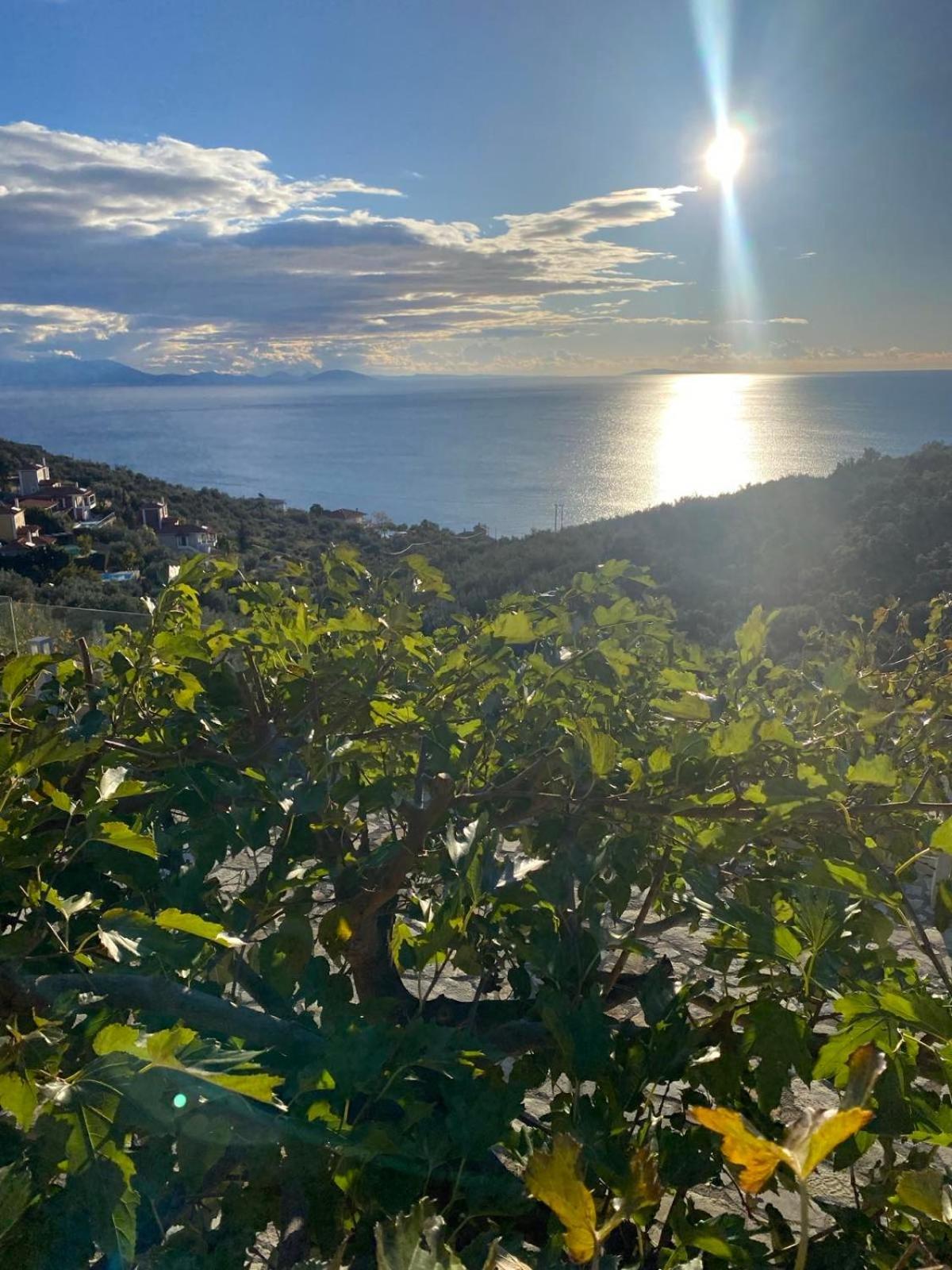 Apollo Romantic Sea View Villa Kivérion 外观 照片